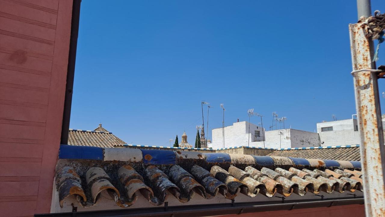 Apartamento Verde, Tranquilo, 2 D, Parking Opcional Sevilla Exteriér fotografie